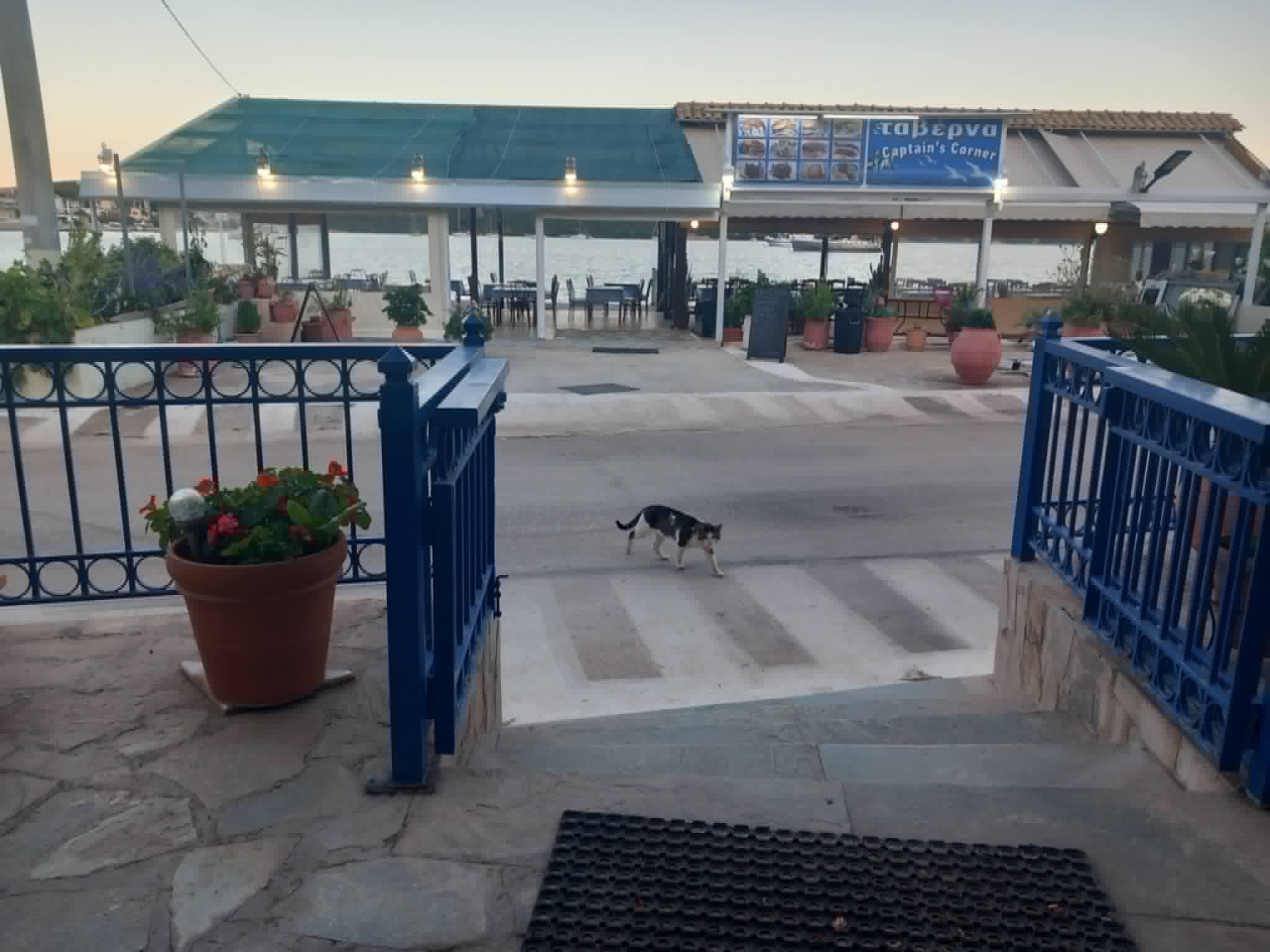 Φωτογραφία από τον Κόρφο